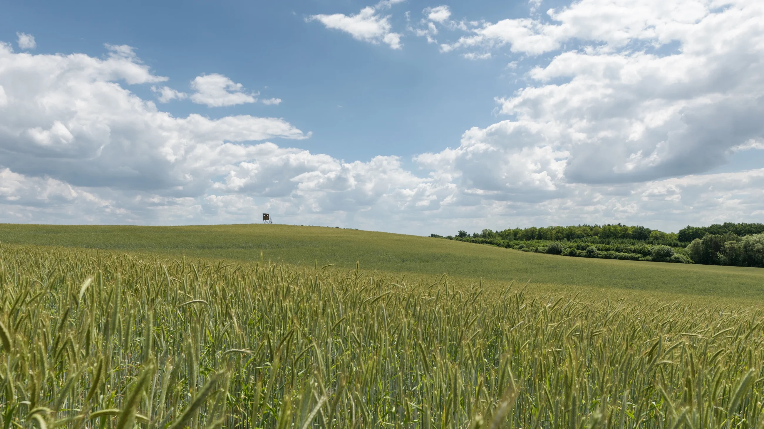 Niederkorn